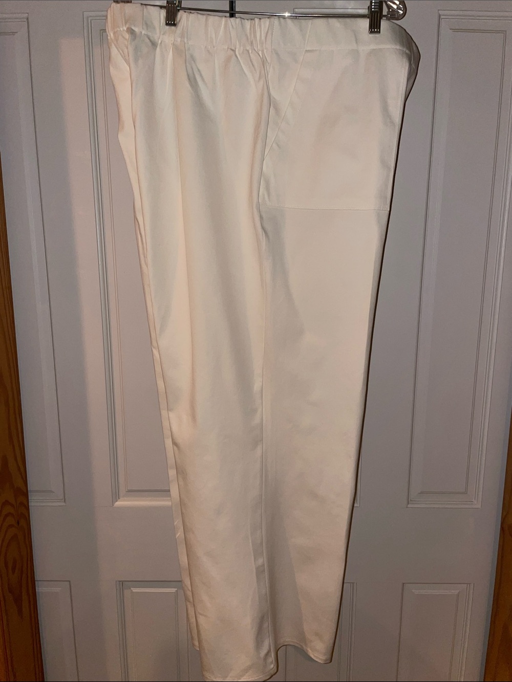 Wide Leg Pull-On Pants in Cream